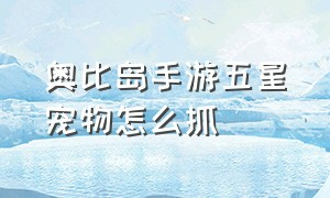 奥比岛手游五星宠物怎么抓