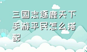 三国志逐鹿天下手游平民怎么搭配