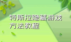 特斯拉隐藏游戏方法教程