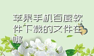 苹果手机百度软件下载的文件在哪