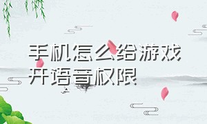 手机怎么给游戏开语音权限