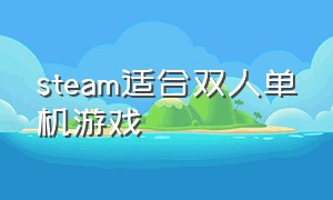 steam适合双人单机游戏（steam免费双人游戏推荐单机）