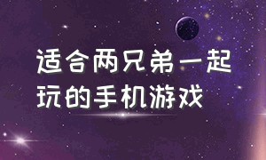 适合两兄弟一起玩的手机游戏