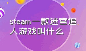 steam一款迷宫追人游戏叫什么