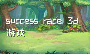 success race 3d游戏