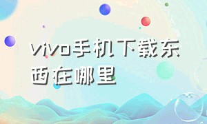 vivo手机下载东西在哪里