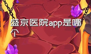 盛京医院app是哪个