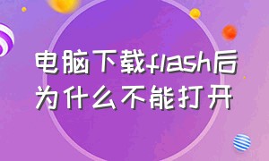 电脑下载flash后为什么不能打开