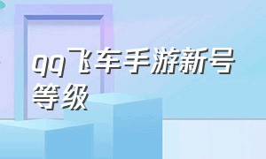 qq飞车手游新号等级