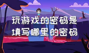 玩游戏的密码是填写哪里的密码