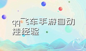 qq飞车手游自动挂经验（qq飞车手游自动挂机）