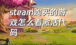 steam购买的游戏怎么看激活代码