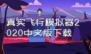真实飞行模拟器2020中文版下载