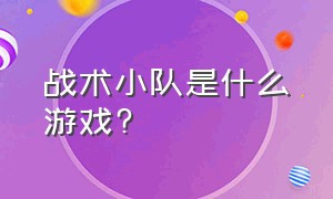 战术小队是什么游戏?