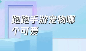 跑跑手游宠物哪个可爱（跑跑手游飞行宠物排行榜）