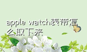 apple watch表带怎么取下来