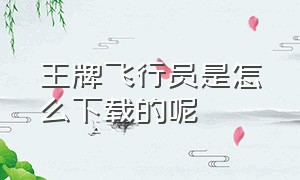 王牌飞行员是怎么下载的呢