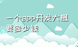 一个app开发大概要多少钱