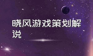 晓风游戏策划解说（夜风游戏解说合集）