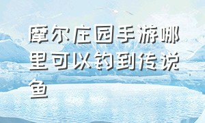 摩尔庄园手游哪里可以钓到传说鱼