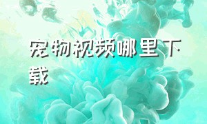 宠物视频哪里下载