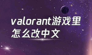 valorant游戏里怎么改中文