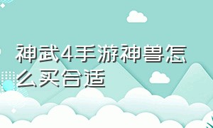 神武4手游神兽怎么买合适（神武4手游神兽花钱怎么买最划算）