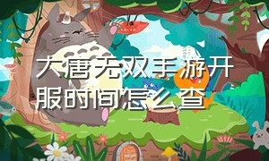 大唐无双手游开服时间怎么查