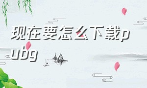 现在要怎么下载pubg