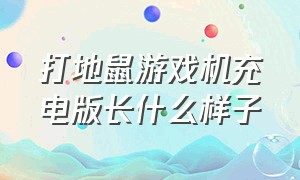 打地鼠游戏机充电版长什么样子