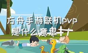 方舟手游联机pvp 是什么意思