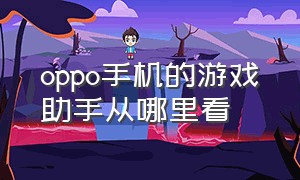 oppo手机的游戏助手从哪里看（oppo手机里的游戏助手在哪里）