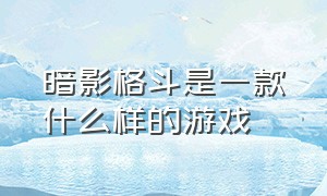 暗影格斗是一款什么样的游戏