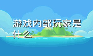 游戏内部玩家是什么