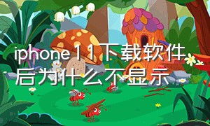 iphone11下载软件后为什么不显示