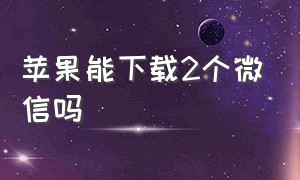 苹果能下载2个微信吗（苹果怎么能下载两个微信）