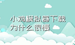 小鸡模拟器下载为什么很慢（小鸡模拟器怎么提高下载速度）