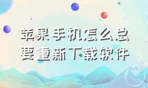 苹果手机怎么总要重新下载软件