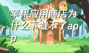 苹果应用商店为什么下载不了app