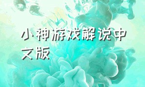 小神游戏解说中文版