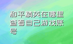 和平精英在哪里查看自己游戏账号