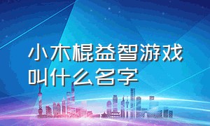 小木棍益智游戏叫什么名字