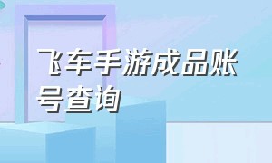 飞车手游成品账号查询