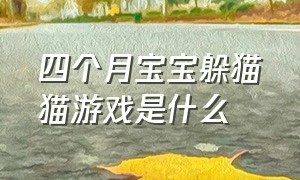 四个月宝宝躲猫猫游戏是什么