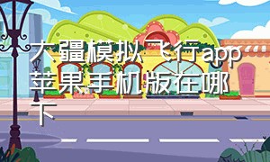 大疆模拟飞行app苹果手机版在哪下