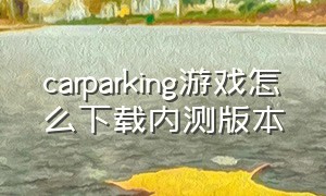 carparking游戏怎么下载内测版本