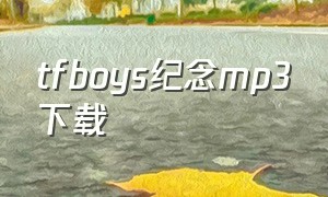 tfboys纪念mp3下载（tfboys纪录片完整版百度网盘）