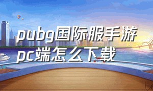 pubg国际服手游pc端怎么下载