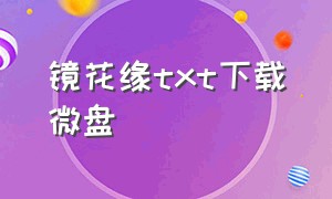 镜花缘txt下载微盘（镜花缘txt电子书免费全集下载）