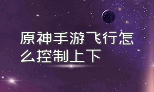 原神手游飞行怎么控制上下（原神手游射手控制怎么调设置）